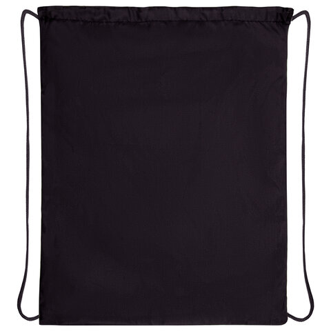 Мешок для обуви ПИФАГОР, 1 отделение, 40х32 см, Dive into drive, 272388 Мешок для обуви ПИФАГОР, 1 отделение, 40х32 см, Dive into drive, 272388