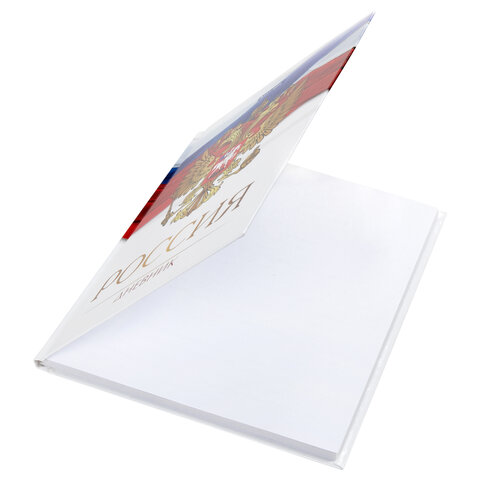 Дневник 5-11 класс, 48 л., твердый, BRAUBERG, глянцевая ламинация, с подсказом, Дневник 5-11 класс, 48 л., твердый, BRAUBERG, глянцевая ламинация, с подсказом,