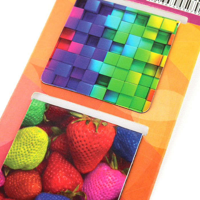 Закладки магнитные "Darvish" (4шт) с европодвесом ассорти