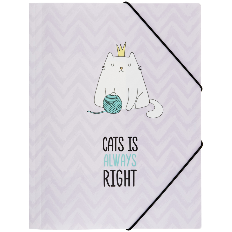 Папка на резинке MESHU "Right cat", А4, 500мкм Папка на резинке MESHU "Right cat", А4, 500мкм