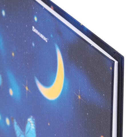 Дневник 5-11 класс 48 л., твердый, BRAUBERG, выборочный лак, с подсказом, Дневник 5-11 класс 48 л., твердый, BRAUBERG, выборочный лак, с подсказом,