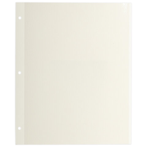 Листы для фотоальбома магнитные 23х28 см, КОМПЛЕКТ 10 шт., BRAUBERG, 391312