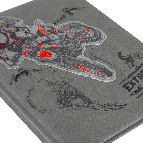 Дневник 1-11 класс 48 л., кожзам (твердая с поролоном), тиснение, аппликация, Дневник 1-11 класс 48 л., кожзам (твердая с поролоном), тиснение, аппликация,