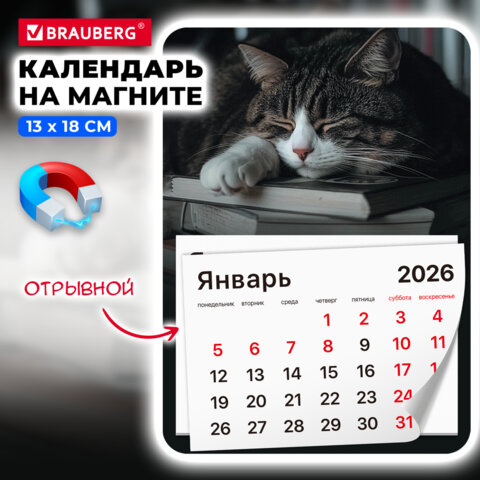 Календарь отрывной на магните на 2026 г., BRAUBERG, 130х180 мм, склейка, Календарь отрывной на магните на 2026 г., BRAUBERG, 130х180 мм, склейка,