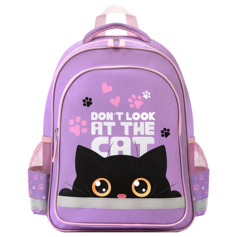 Рюкзак ПИФАГОР SCHOOL, 1 отделение, 3 кармана, "Observer cat", Рюкзак ПИФАГОР SCHOOL, 1 отделение, 3 кармана, "Observer cat",