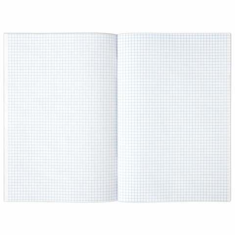 Книга учета 96 л., клетка, обложка из мелованного картона, блок офсет, А4