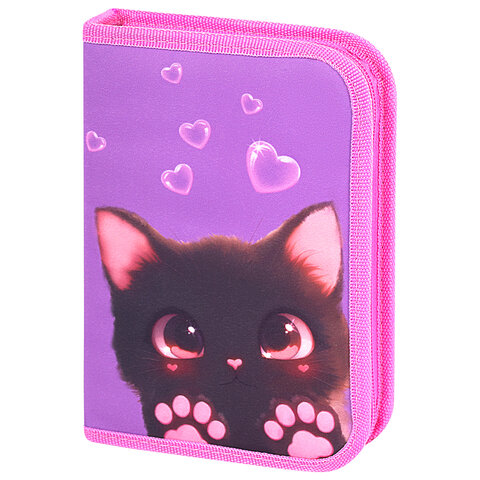 Пенал BRAUBERG, 1 отделение, 2 откидные планки, полиэстер, 21х14 см, "Paw Пенал BRAUBERG, 1 отделение, 2 откидные планки, полиэстер, 21х14 см, "Paw