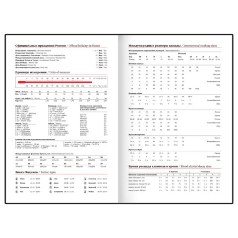 Ежедневник недатированный с резинкой А5 145х203 мм, BRAUBERG, твердый, фольга,