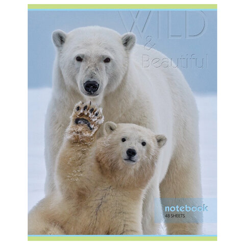 Тетрадь А5, 48 листов, HATBER-ECO скоба, офсет №2 ЭКОНОМ, клетка, обложка