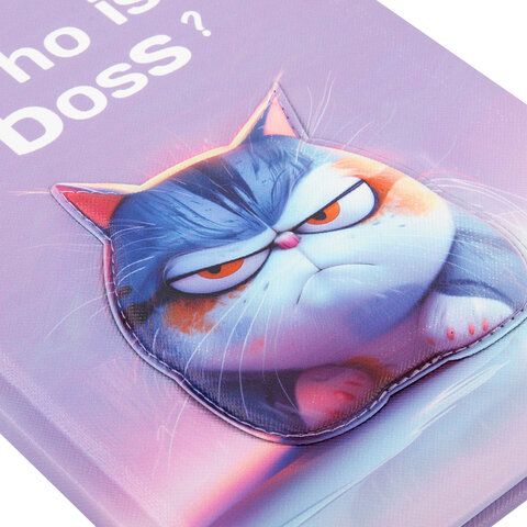 Дневник 1-11 класс 48 л., обложка кожзам (твердая с поролон), 3D-элемент, Дневник 1-11 класс 48 л., обложка кожзам (твердая с поролон), 3D-элемент,