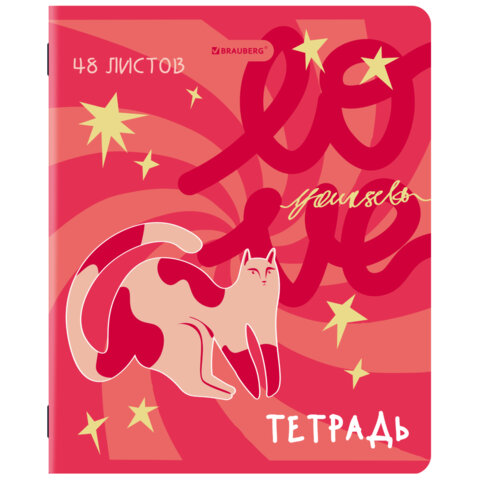 Тетради ДЭК А5 48 л. КОМПЛЕКТ 5 шт. BRAUBERG, скоба, клетка, TWIN-лак, Тетради ДЭК А5 48 л. КОМПЛЕКТ 5 шт. BRAUBERG, скоба, клетка, TWIN-лак,