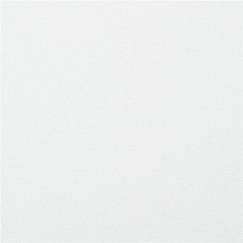 Картон белый А4 МЕЛОВАННЫЙ EXTRA (белый оборот) 20 листов папка, BRAUBERG KIDS,