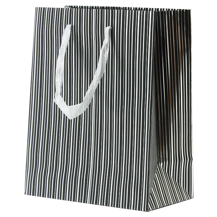 Пакет подарочный 23*18*10см "Darvish" полоски Пакет подарочный 23*18*10см "Darvish" полоски