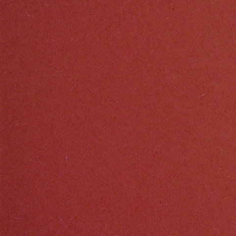 Подвесные папки картонные BRAUBERG(Италия), комплект 10 шт., 370х245 мм, 80 л.,