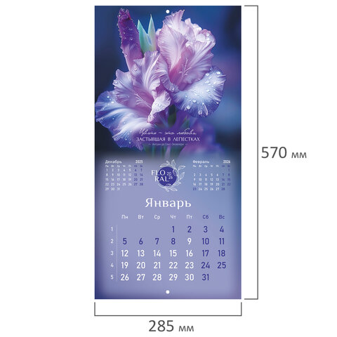 Календарь настенный перекидной 2026 г., BRAUBERG, 12 листов, 28,5х28,5 см, Календарь настенный перекидной 2026 г., BRAUBERG, 12 листов, 28,5х28,5 см,