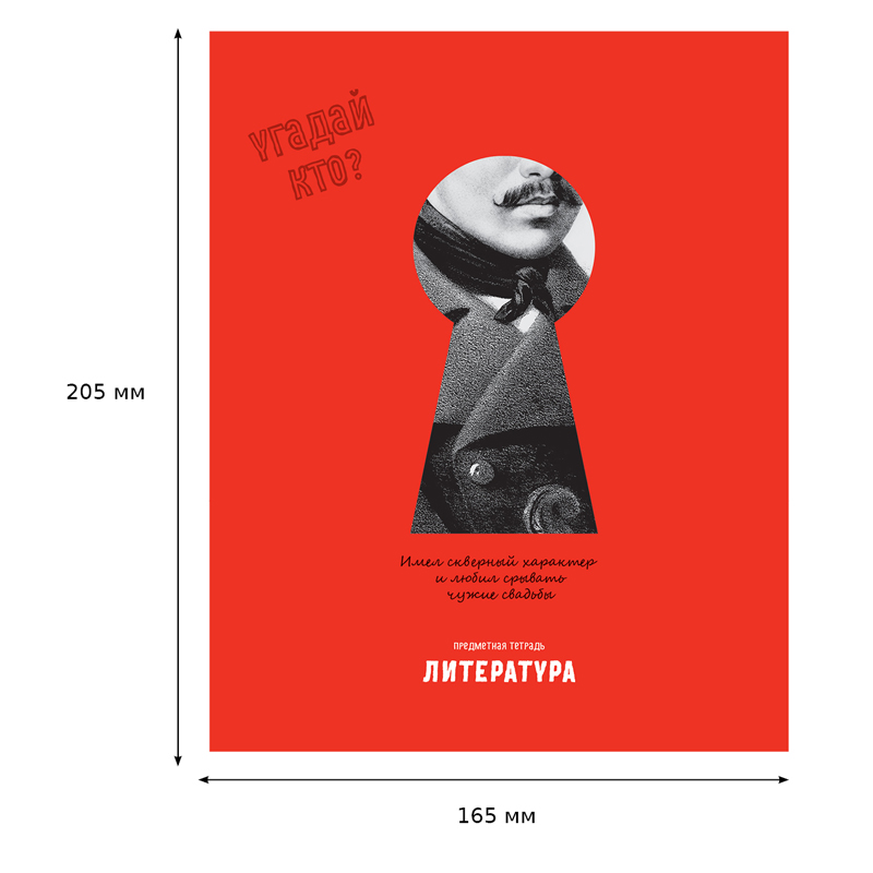 Тетрадь предметная 48л. BG "Угадай кто" - Литература, матовая Тетрадь предметная 48л. BG "Угадай кто" - Литература, матовая