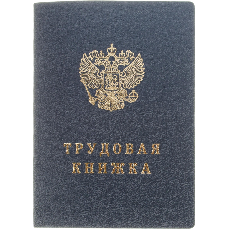 Бланк Трудовая книжка (новый 2023г) Бланк Трудовая книжка (новый 2023г)