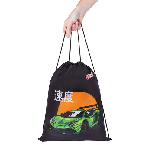 Мешок для обуви ПИФАГОР, 1 отделение, 40х32 см, Dive into drive, 272388 Мешок для обуви ПИФАГОР, 1 отделение, 40х32 см, Dive into drive, 272388