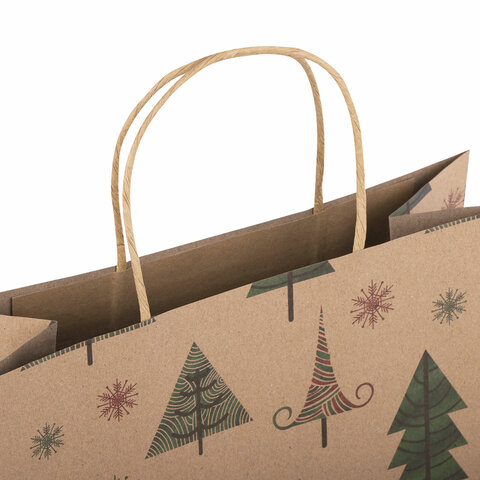 Пакет подарочный КОМПЛЕКТ 10 штук, новогодний, 26x13x32 см, "Kraft Xmas Пакет подарочный КОМПЛЕКТ 10 штук, новогодний, 26x13x32 см, "Kraft Xmas