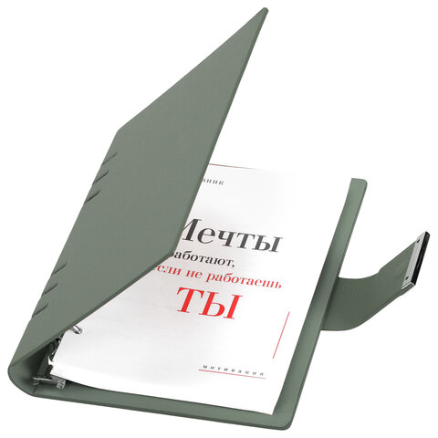 Ежедневник на кольцах в наборе с ручкой А5, 165x229 мм, BRAUBERG Ежедневник на кольцах в наборе с ручкой А5, 165x229 мм, BRAUBERG