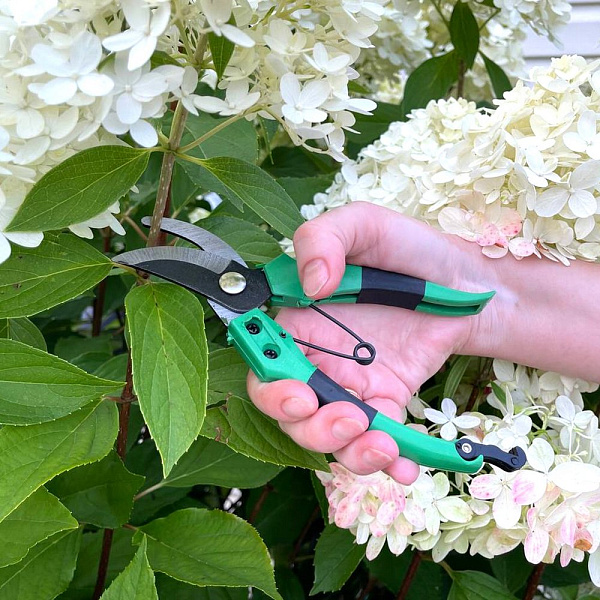 Секатор садовый.Длина 19см Секатор садовый.Длина 19см