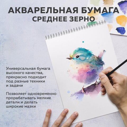 Бумага для акварели БОЛЬШАЯ А3 в папке, 15 листов, 300 г/м2, среднее зерно,