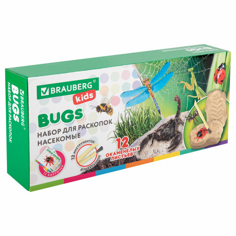 Набор для раскопок "Насекомые", 12 видов, карточки, инструменты,