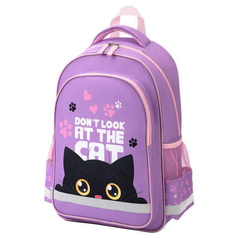 Рюкзак ПИФАГОР SCHOOL, 1 отделение, 3 кармана, "Observer cat", Рюкзак ПИФАГОР SCHOOL, 1 отделение, 3 кармана, "Observer cat",
