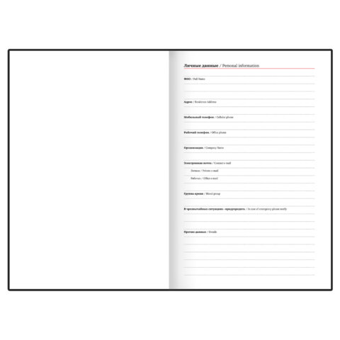 Ежедневник недатированный с резинкой А5 145х203 мм, BRAUBERG, твердый, 128 л.,