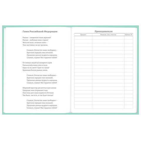 Дневник 5-11 класс 48 л., твердый, BRAUBERG, фольга, с подсказом,