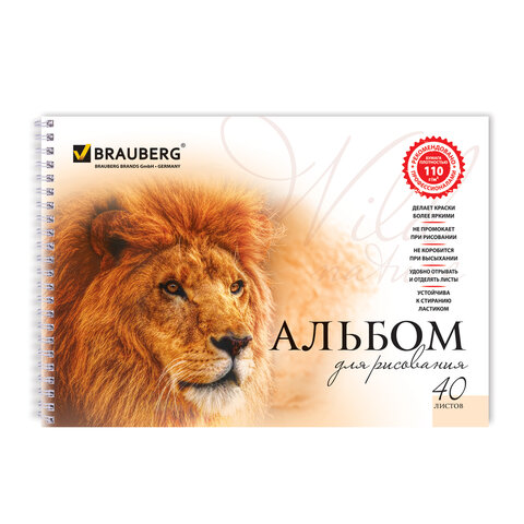 Альбом для рисования, А4, 40 листов, гребень, обложка картон, BRAUBERG, 205х290 Альбом для рисования, А4, 40 листов, гребень, обложка картон, BRAUBERG, 205х290