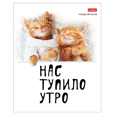 Тетрадь А5 48 л., HATBER скоба, клетка, обложка картон, "Котоюмор"