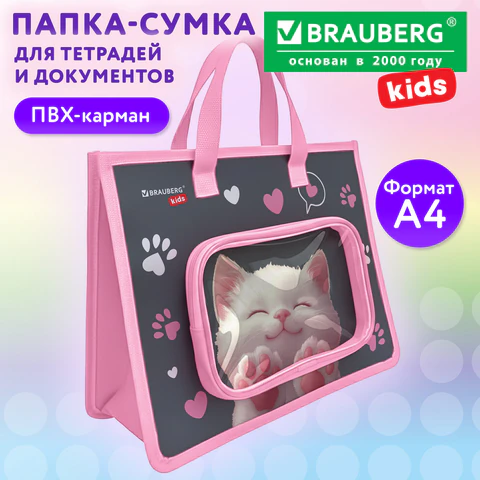 Папка на молнии с ручками BRAUBERG KIDS А4, 1 отделение, дополнительные карманы, Папка на молнии с ручками BRAUBERG KIDS А4, 1 отделение, дополнительные карманы,