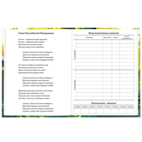 Дневник 1-11 класс 40 л., твердый, BRAUBERG, глянцевая ламинация, "Девочка Дневник 1-11 класс 40 л., твердый, BRAUBERG, глянцевая ламинация, "Девочка