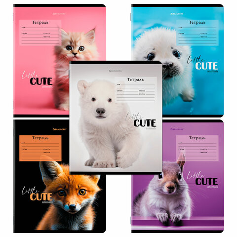Тетрадь 12 л. BRAUBERG, клетка, обложка картон, CUTE ANIMALS, 107266 Тетрадь 12 л. BRAUBERG, клетка, обложка картон, CUTE ANIMALS, 107266