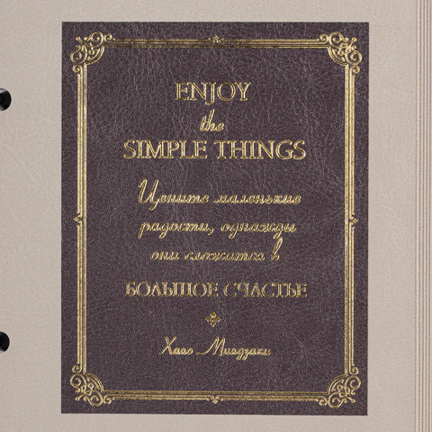 Тетрадь на кольцах А5, 180х220 мм, 120 л., под кожу, фольга, резинка, стикеры, Тетрадь на кольцах А5, 180х220 мм, 120 л., под кожу, фольга, резинка, стикеры,