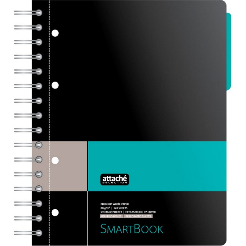 Бизнес-тетрадь SMARTBOOK А5 120л. клетка,спир,микроп,разд,карм,сер-бирюз штр. Бизнес-тетрадь SMARTBOOK А5 120л. клетка,спир,микроп,разд,карм,сер-бирюз штр.
