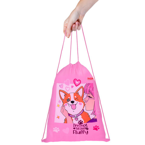 Мешок для обуви ПИФАГОР, 1 отделение, 42х34 см, "Fluffy akita", 272385 Мешок для обуви ПИФАГОР, 1 отделение, 42х34 см, "Fluffy akita", 272385