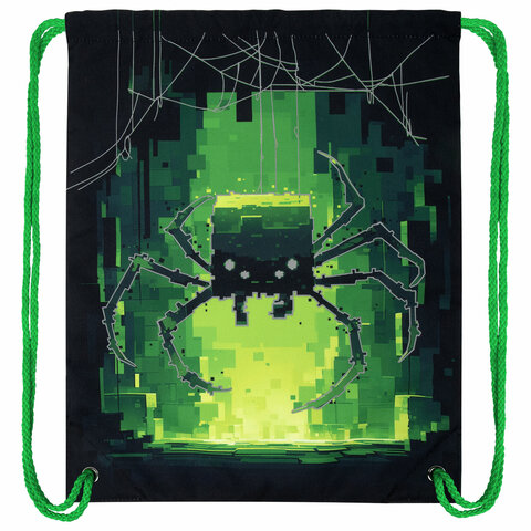 Мешок для обуви BRAUBERG PREMIUM, карман, подкладка, светоотражайка, 43х33 см,