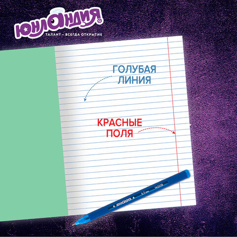 Тетради ДЭК 12 л. КОМПЛЕКТ 20 шт. с ЗЕЛЁНОЙ обложкой, ЮНЛАНДИЯ, линия, 106742 Тетради ДЭК 12 л. КОМПЛЕКТ 20 шт. с ЗЕЛЁНОЙ обложкой, ЮНЛАНДИЯ, линия, 106742