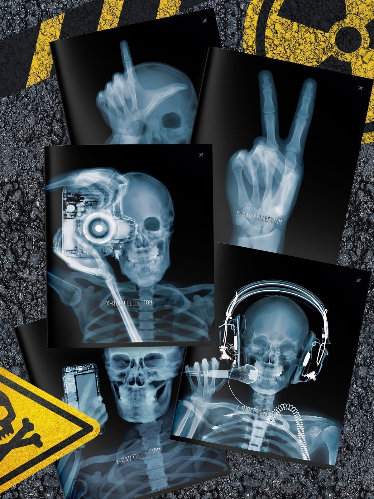 Тетрадь 48 листов, А5 клетка, скрепка, офс. LOREX X-RAY мел. карт. двойная Тетрадь 48 листов, А5 клетка, скрепка, офс. LOREX X-RAY мел. карт. двойная