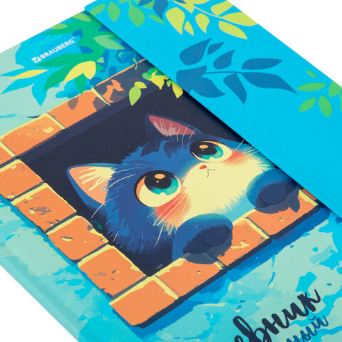 Дневник 1-11 класс 48 л., твердый, BRAUBERG, матовая ламинация, магнитный