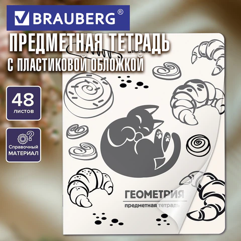 Тетрадь предметная КОТ-НЕПОСЕДА 48 л., пластиковая обложка, ГЕОМЕТРИЯ, клетка,