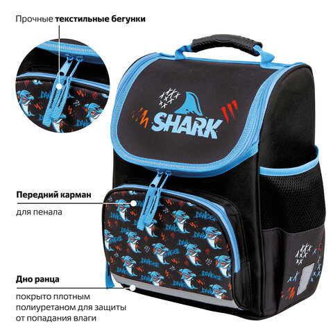 Ранец ПИФАГОР BASIC, 1 отделение, 3 кармана, эргономичная спинка, "Angry