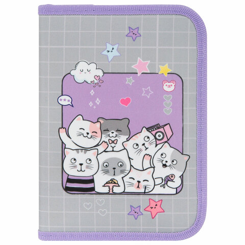 Пенал ПИФАГОР, 1 отделение, 2 откидные планки, полиэстер, 20х14 см, "Cats Пенал ПИФАГОР, 1 отделение, 2 откидные планки, полиэстер, 20х14 см, "Cats