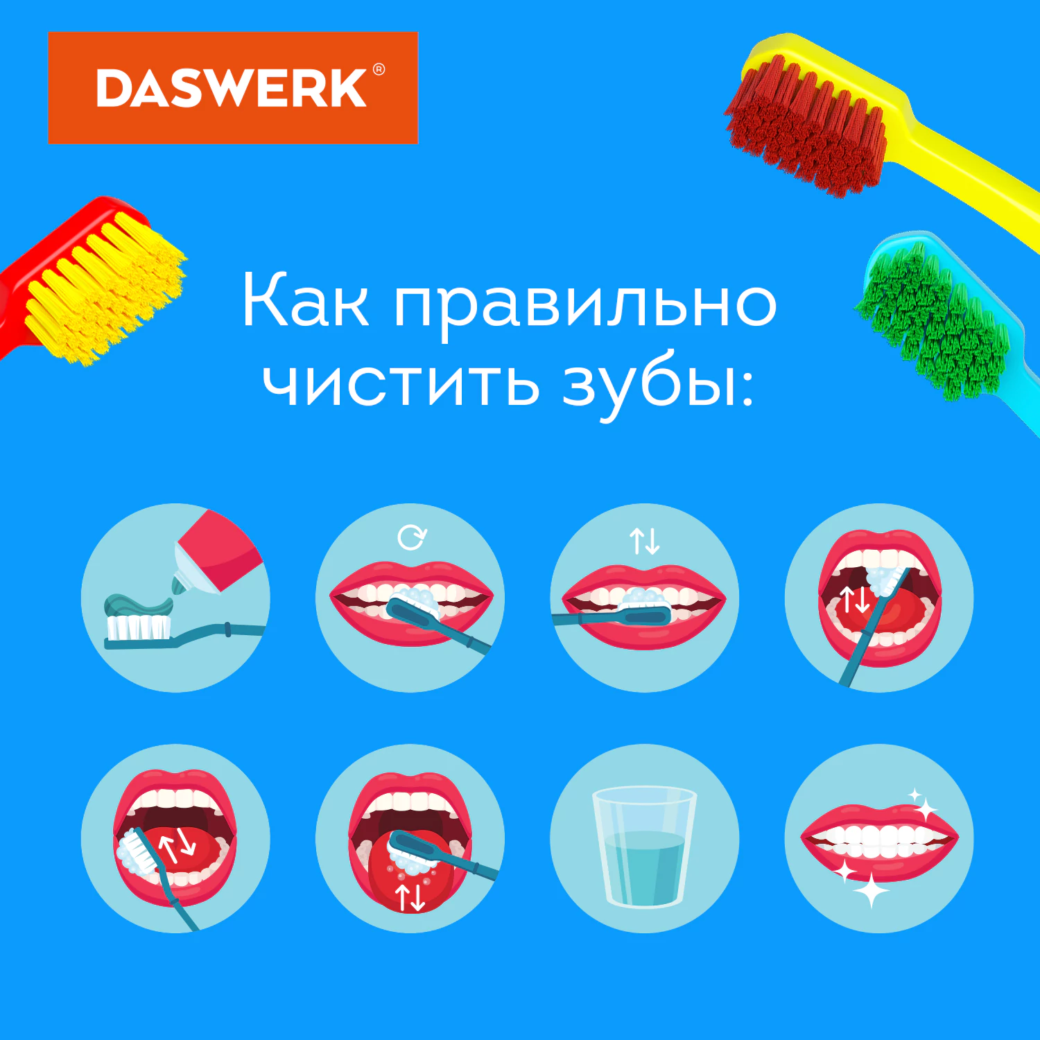 Зубные щетки, набор 6 штук, СРЕДНЕ-МЯГКИЕ (MEDIUM SOFT), DASWERK (ДАСВЕРК), Зубные щетки, набор 6 штук, СРЕДНЕ-МЯГКИЕ (MEDIUM SOFT), DASWERK (ДАСВЕРК),