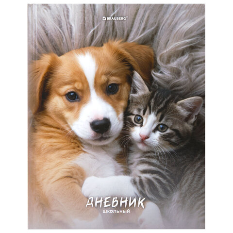 Дневник 5-11 класс 48 л., твердый, BRAUBERG, глянцевая ламинация, с подсказом,