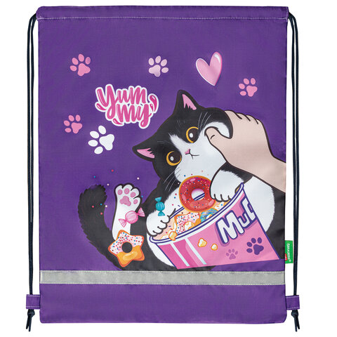 Мешок для обуви BRAUBERG KIDS, с петлей, светоотражающая полоса, 46х36 см, Sweet Мешок для обуви BRAUBERG KIDS, с петлей, светоотражающая полоса, 46х36 см, Sweet