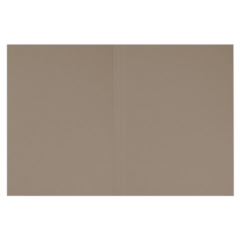 Папка без скоросшивателя "Дело", картон, плотность 280 г/м2, до 200