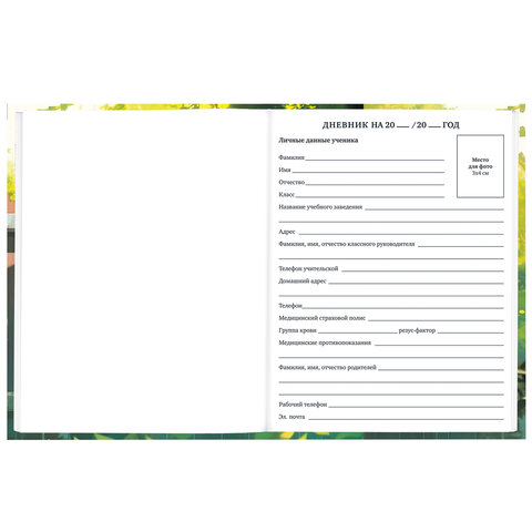 Дневник 1-11 класс 40 л., твердый, BRAUBERG, глянцевая ламинация, "Девочка Дневник 1-11 класс 40 л., твердый, BRAUBERG, глянцевая ламинация, "Девочка